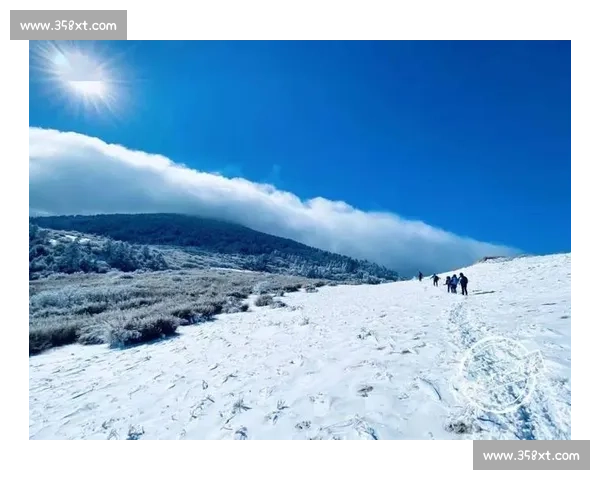 冰晶顶探秘之旅揭示雪域奇观与高原冰川奥秘交织的神秘世界